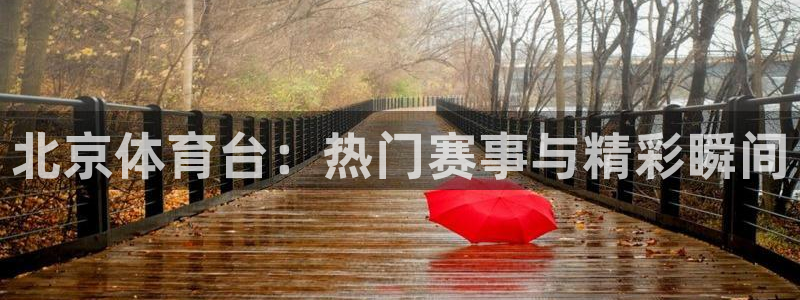 857体育直播入口：北京体育台：热门赛事与精彩瞬间