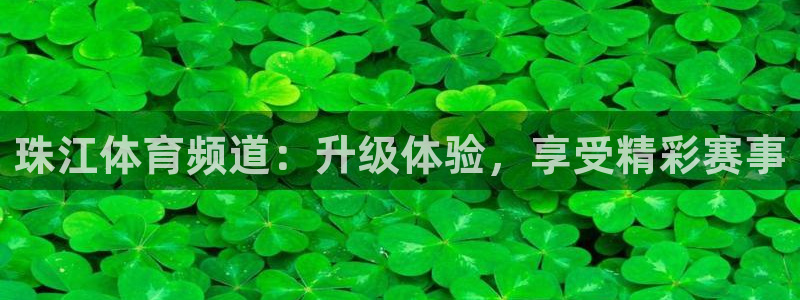 857体育赛事直播：珠江体育频道：升级体验，享受精彩赛事