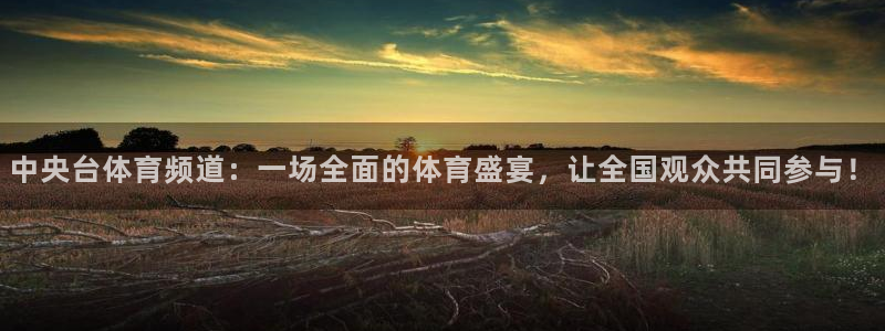857赛事直播：中央台体育频道：一场全面的体育盛宴，让全国观众共同参与！