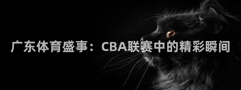 857直播nba在线观看：广东体育盛事：CBA联赛中的精彩瞬间